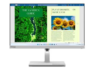Monitor Lenovo L24m-40 - 23,8" FHD - HDMI / 67A9UAC3UK-02