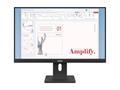 Monitor Lenovo ThinkVision E24-40 FHD/IPS/DP 24''
