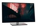 Monitor Lenovo ThinkVision P27h-30 - 27" QHD - HDMI, DP