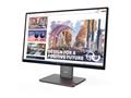 Monitor Lenovo ThinkVision P34WD-40 UWQHD USB-C/IPS 34"